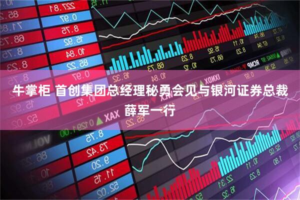 牛掌柜 首创集团总经理秘勇会见与银河证券总裁薛军一行