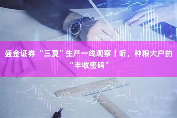 盛金证券 “三夏”生产一线观察｜听，种粮大户的“丰收密码”