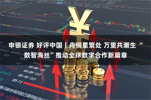 申银证券 好评中国丨舟楫星繁处 万里共潮生 “数智海丝”推动全球数字合作新篇章