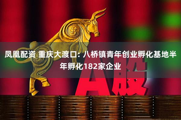 凤凰配资 重庆大渡口: 八桥镇青年创业孵化基地半年孵化182家企业