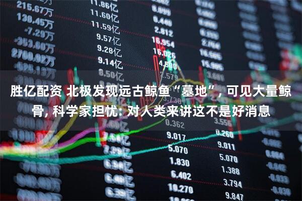 胜亿配资 北极发现远古鲸鱼“墓地”, 可见大量鲸骨, 科学家担忧: 对人类来讲这不是好消息