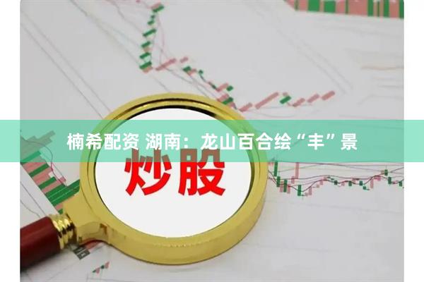 楠希配资 湖南：龙山百合绘“丰”景