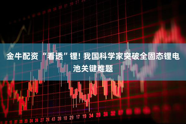 金牛配资 “看透”锂! 我国科学家突破全固态锂电池关键难题