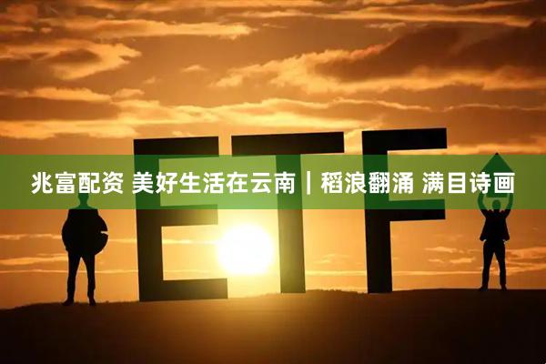 兆富配资 美好生活在云南｜稻浪翻涌 满目诗画