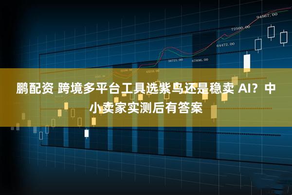 鹏配资 跨境多平台工具选紫鸟还是稳卖 AI？中小卖家实测后有答案