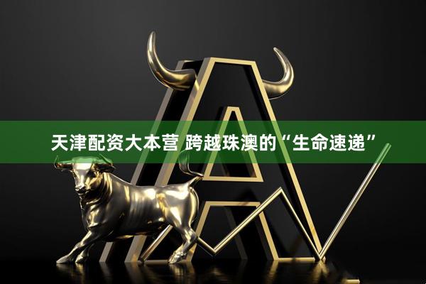 天津配资大本营 跨越珠澳的“生命速递”