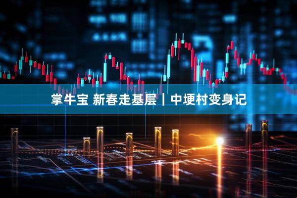 掌牛宝 新春走基层｜中埂村变身记