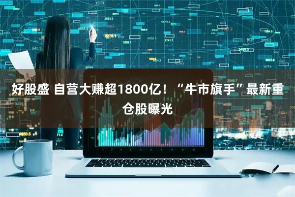 好股盛 自营大赚超1800亿！“牛市旗手”最新重仓股曝光